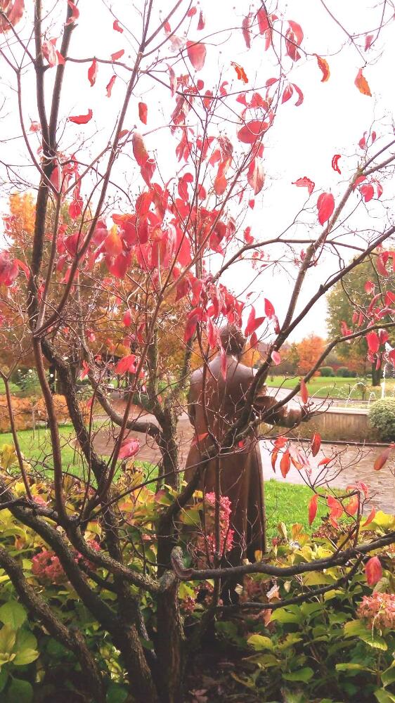 Monumento a Don Orione tra i colori autunnali (foto Lucia D.)
